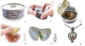 Wish Pearl Necklace Gift Set โ Discover the Hidden Pearl of Love