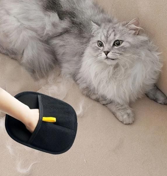 Pet Hair Removal Gloves | Remove Pet Hair in Seconds β The Glove Every Pet Parent Swears By
